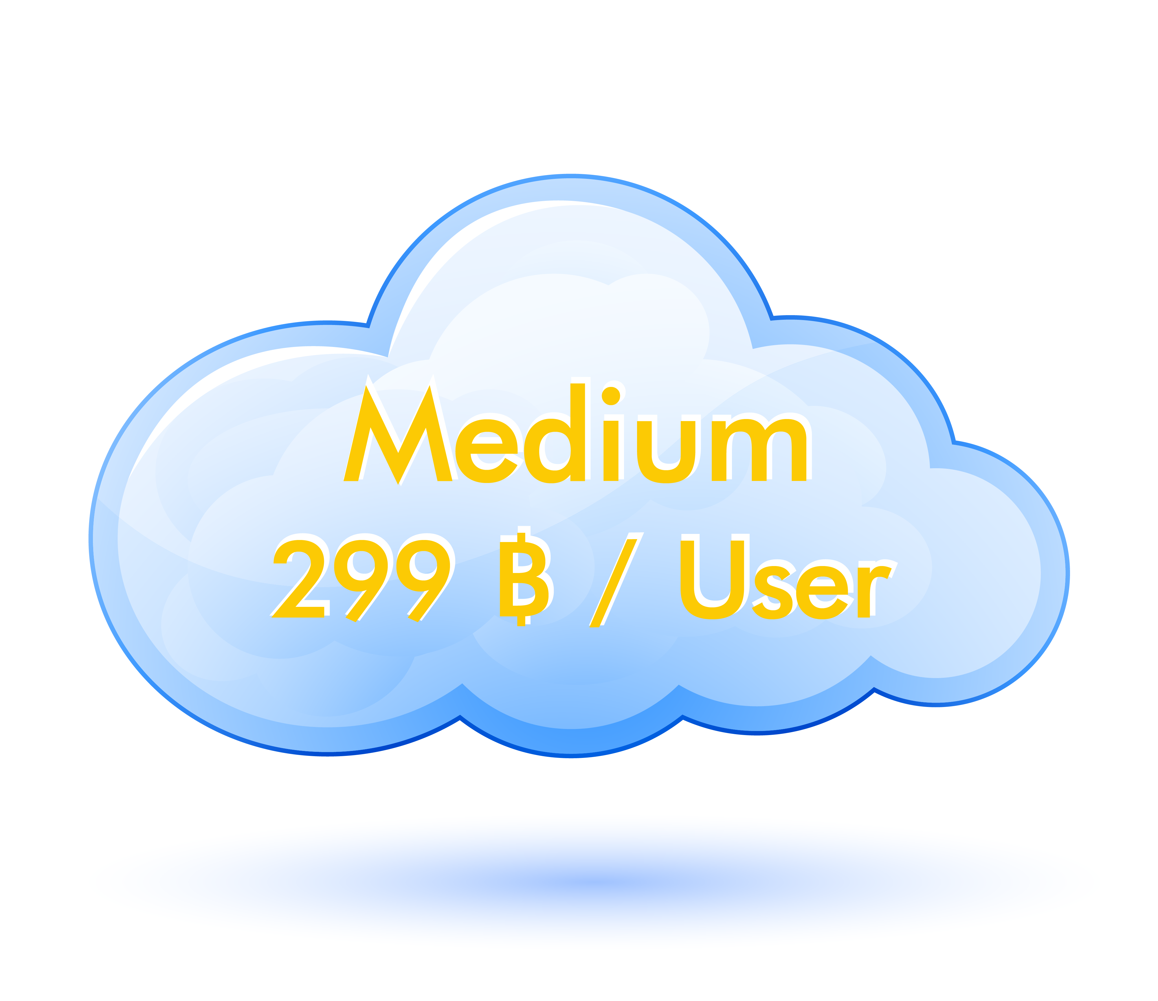 Medium 299 บาท/เดือน
